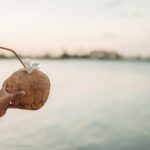 Last Minute Zájezd na Zanzibar s All inclusive