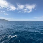 blue sky over the undulating sea